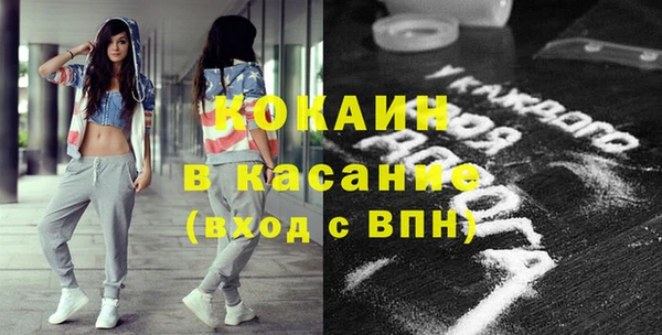 шишки Алексин