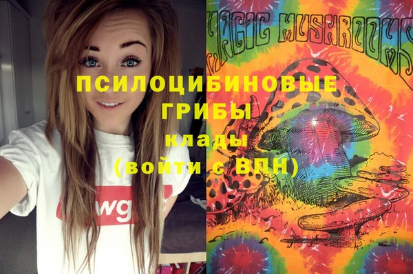 шишки Алексин