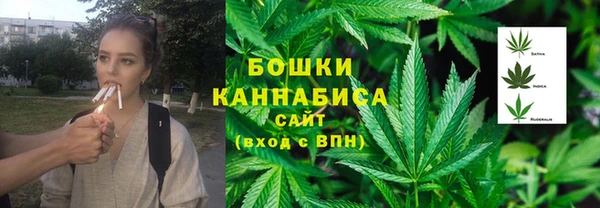 шишки Алексин